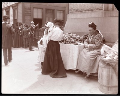 View of a Fruit Peddler at Battery Park, Presumably Awaiting Immigrants from Ellis Island, New York by Byron Company